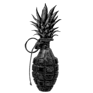 THE "PINEAPPLE"